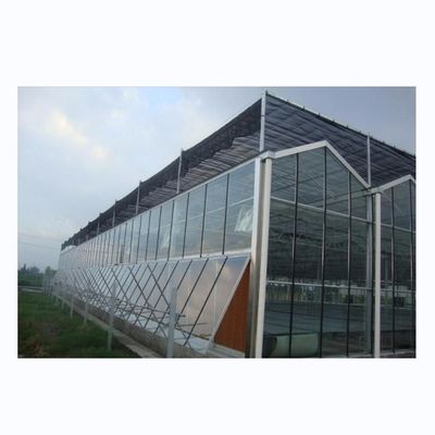 Estructura del marco de acero galvanizado en caliente Invernaderos de vidrio de Venlo para la agricultura vegetal