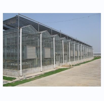 Gran invernadero agrícola con marco de acero galvanizado y sistema de refrigeración opcional