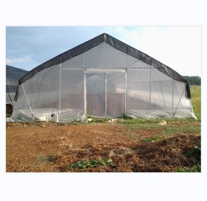 Invernadero de túnel cubierto con película de 150/200micro para el cultivo hidropónico de tomates