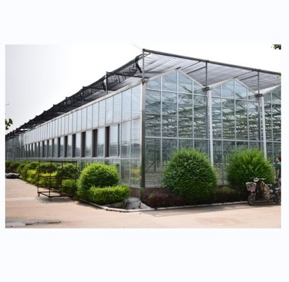 Sistemas de cultivo hidropónico NFT de cubierta de vidrio La solución definitiva para la agricultura vertical