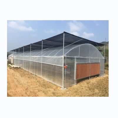 Invernadero pequeño de película de plástico PE de sola envergadura para la agricultura de vegetales 10-100m de longitud