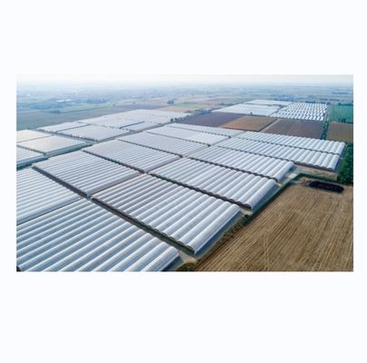 Invernaderos agrícolas de varios tramos de tamaño personalizable con tubo de acero galvanizado a fuego