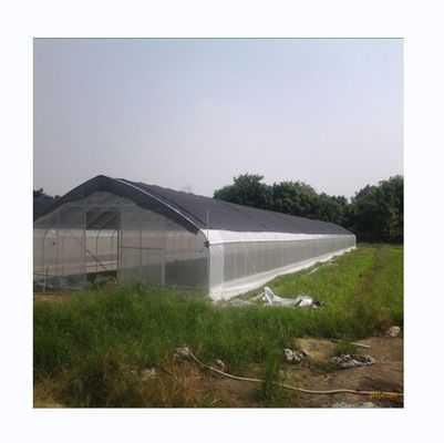 Invernadero personalizado de una sola extensión para el cultivo de pepinos 10-100m de longitud