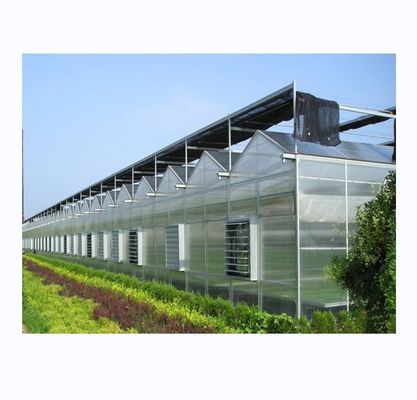4m de ancho de bahía Multi-Span invernadero material de cubierta agrícola Super fuerte resistencia