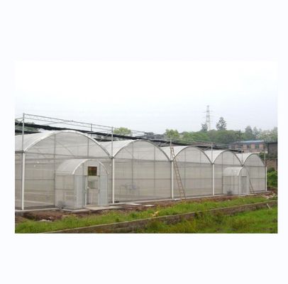 Resistencia súper fuerte Agricultura Cuadro de invernadero multispan para el cultivo de verduras