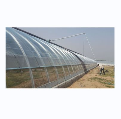 Invernaderos solares de pared de ladrillo de una sola capa 8-16m de ancho con manta aislante