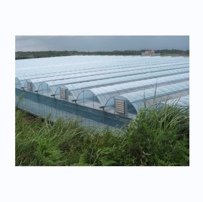Invernaderos de película agrícola de larga duración con sistema de refrigeración opcional