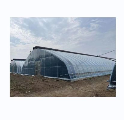 PE túnel solar de una sola capa invernadero agrícola 4-6M de altura