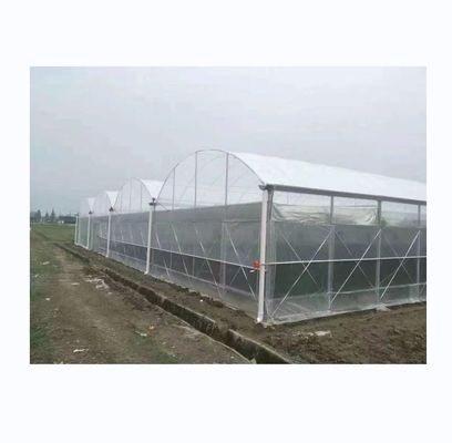 Invernadero de película de plástico de 150/200 micrones para el cultivo de verduras y flores
