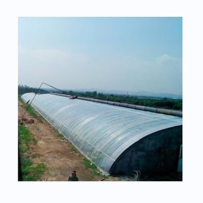 Invernaderos agrícolas duraderos para la producción de hortalizas de invierno