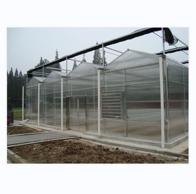 8 m 9,6 m 12 m Ancho de la envergadura Invernadero agrícola para semillas y verduras de tomate híbrido