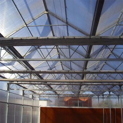 8 m 9,6 m 12 m Ancho de la envergadura Invernadero agrícola para semillas y verduras de tomate híbrido
