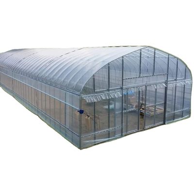 2.5-5M Alturas Tomate Hidropónico Alto túnel Agricultura Invernadero con película