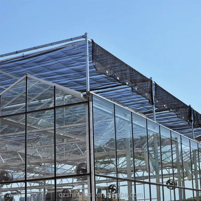 Estructura del marco de acero galvanizado en caliente Invernaderos de vidrio de Venlo para la agricultura vegetal