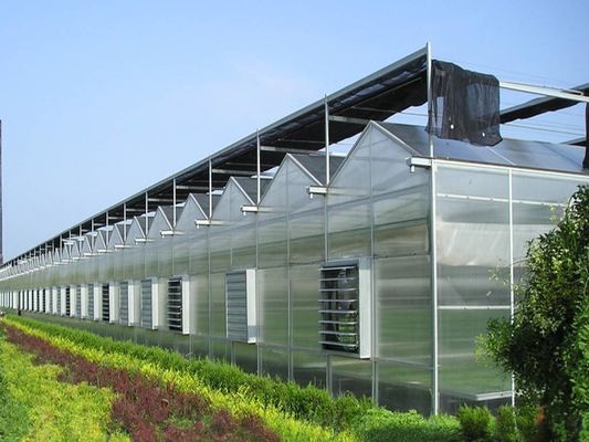 8 m 9,6 m 12 m Ancho de la envergadura Invernadero agrícola para semillas y verduras de tomate híbrido