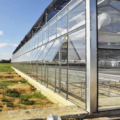 Estructura del marco de acero galvanizado en caliente Invernaderos de vidrio de Venlo para la agricultura vegetal