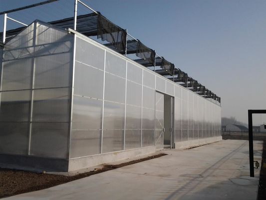 8 m 9,6 m 12 m Ancho de la envergadura Invernadero agrícola para semillas y verduras de tomate híbrido