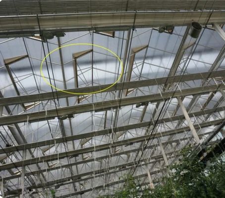 Estructura del marco de acero galvanizado en caliente Invernaderos de vidrio de Venlo para la agricultura vegetal