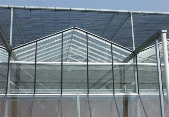 Estructura del marco de acero galvanizado en caliente Invernaderos de vidrio de Venlo para la agricultura vegetal