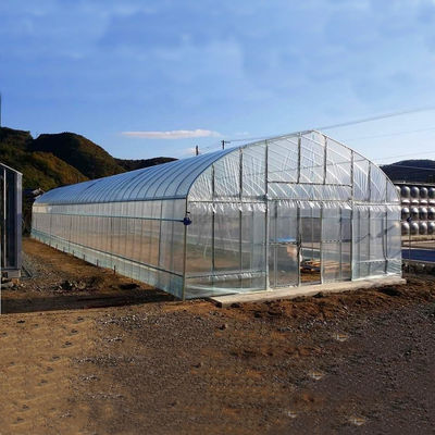 2.5-5M Alturas Tomate Hidropónico Alto túnel Agricultura Invernadero con película