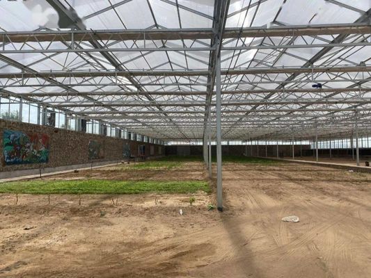 8 m 9,6 m 12 m Ancho de la envergadura Invernadero agrícola para semillas y verduras de tomate híbrido