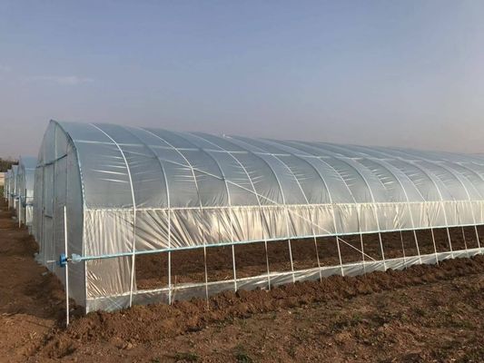 2.5-5M Alturas Tomate Hidropónico Alto túnel Agricultura Invernadero con película