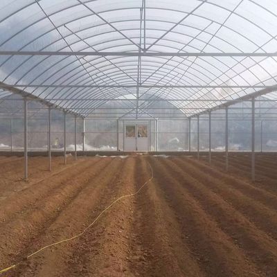 4.0-8.0M Alturas Agricultura Proyecto llave en mano de invernadero de película de plástico de múltiples tramos para tomate