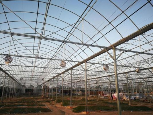 4.0-8.0M Alturas Agricultura Proyecto llave en mano de invernadero de película de plástico de múltiples tramos para tomate