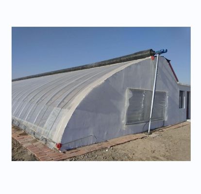 150/200 Invernadero solar cubierto con micro película para cultivo de pepinos de rendimiento