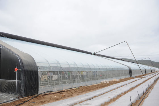 150/200 Invernadero solar cubierto con micro película para cultivo de pepinos de rendimiento