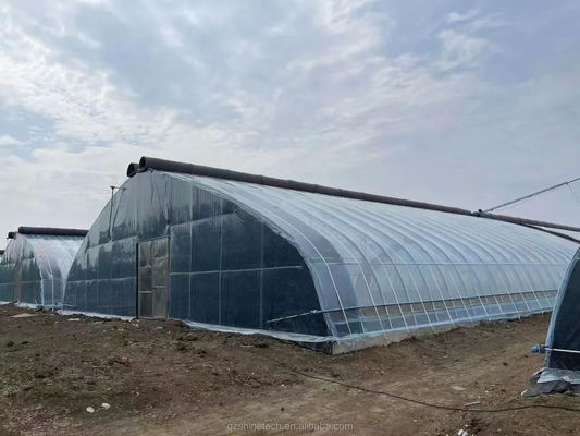 150/200 Invernadero solar cubierto con micro película para cultivo de pepinos de rendimiento