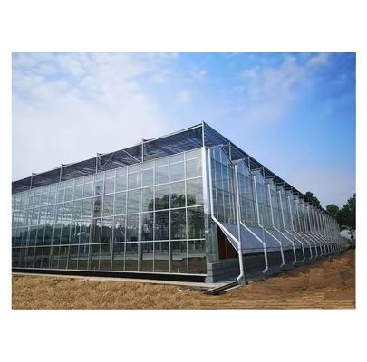 Proyecto llave en mano de invernaderos de vidrio grandes de Venlo Solución ideal para el cultivo de verduras