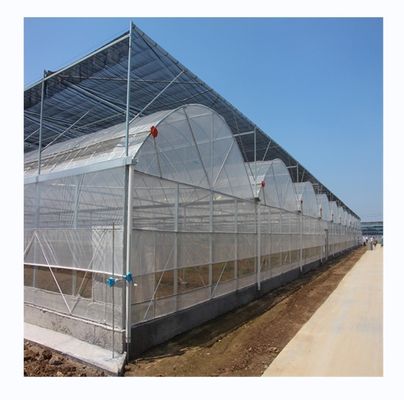 Materiales de cubierta de película Agricultura Invernadero de múltiples tramos con tubo de acero galvanizado