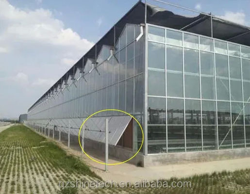 Proyecto llave en mano de invernaderos de vidrio grandes de Venlo Solución ideal para el cultivo de verduras
