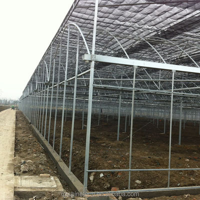 Materiales de cubierta de película Agricultura Invernadero de múltiples tramos con tubo de acero galvanizado