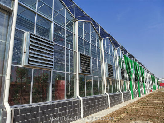 Proyecto llave en mano de invernaderos de vidrio grandes de Venlo Solución ideal para el cultivo de verduras