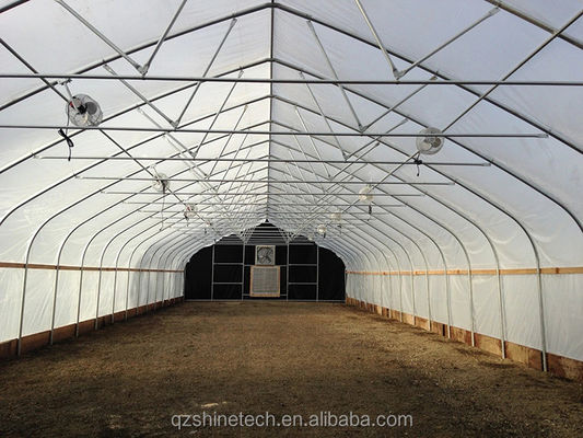 Invernadero de película de PE de longitud única de 6 a 10 m de ancho para tomates