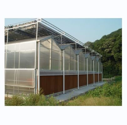 Invernadero agrícola comercial con sistema hidropónico y revestimiento con láminas PC de 8 mm