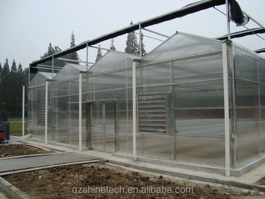 Invernadero agrícola comercial con sistema hidropónico y revestimiento con láminas PC de 8 mm