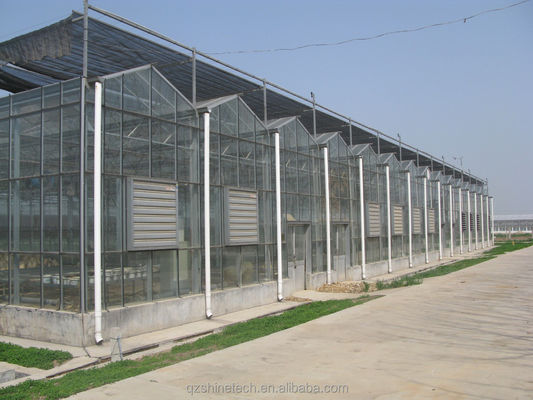 Gran invernadero agrícola con marco de acero galvanizado y sistema de refrigeración opcional
