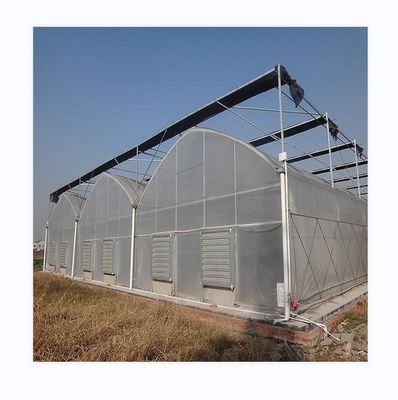 Fácil de ensamblar Tomate Agricultural Kit Cuadro Invernadero Con Super fuerte resistencia