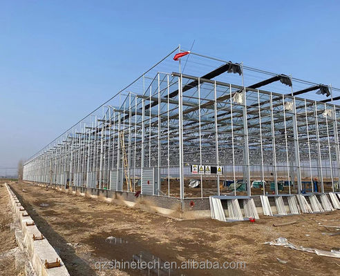 Gran invernadero agrícola con marco de acero galvanizado y sistema de refrigeración opcional