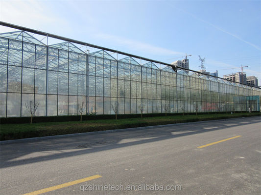 Gran invernadero agrícola con marco de acero galvanizado y sistema de refrigeración opcional