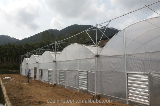 Fácil de ensamblar Tomate Agricultural Kit Cuadro Invernadero Con Super fuerte resistencia