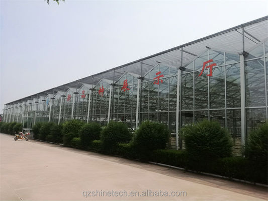 Gran invernadero agrícola con marco de acero galvanizado y sistema de refrigeración opcional