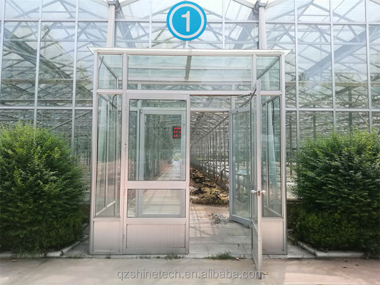 Gran invernadero agrícola con marco de acero galvanizado y sistema de refrigeración opcional