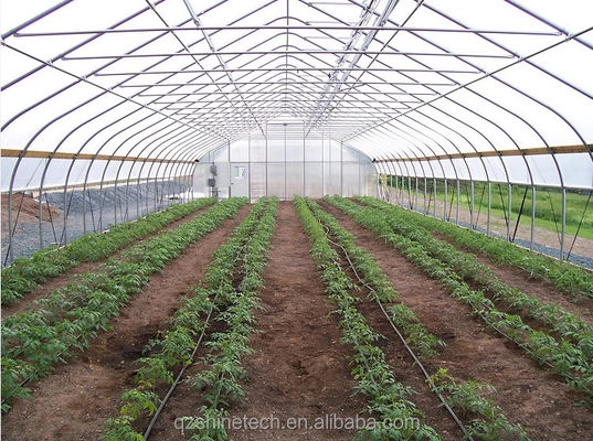 Invernadero pequeño de película de túnel para el cultivo de tomates de 6 a 10 m de ancho
