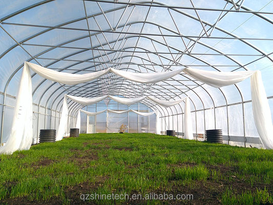 Invernadero pequeño de película de túnel para el cultivo de tomates de 6 a 10 m de ancho