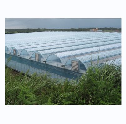 Invernadero hidropónico industrial con resistencia súper fuerte