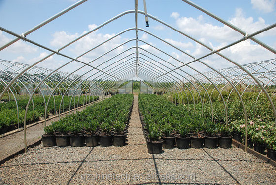 Invernadero pequeño de película de túnel para el cultivo de tomates de 6 a 10 m de ancho